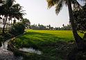 Backwaters_05