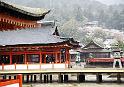 06_Miyajima